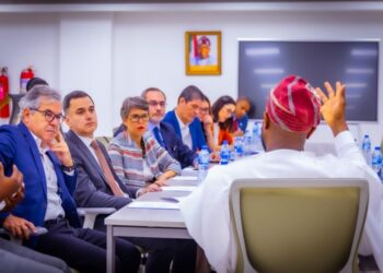 Nigeria and Brazil Discuss AI and GovTech Partnership Ahead of 2025 Exchange